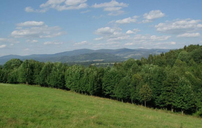 Okazja Teren Inwestycyjny z potencjałem Agroturystyka - Kamieńczyk   -
dolnośląskie Zdjęcie nr 4