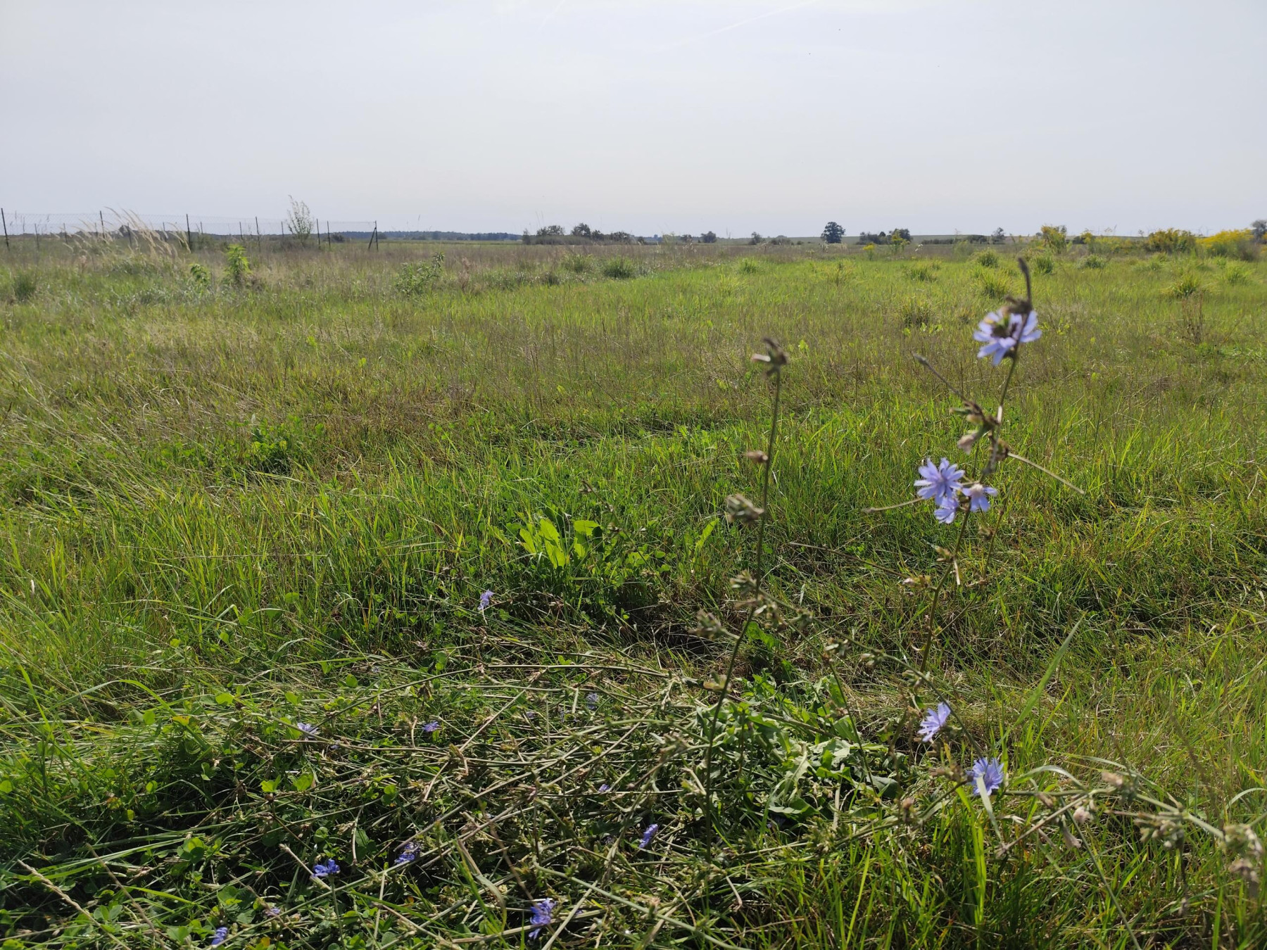 Działka budowlana 1691 m2 Golanka Górna - Golanka Górna   -
dolnośląskie Zdjęcie nr 1