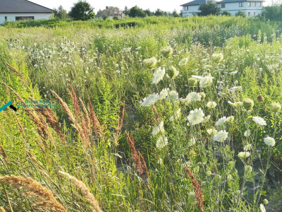 TANIO I W DOSKONAŁEJ LOKALIZACJI  - Borzęcin Duży   - mazowieckie