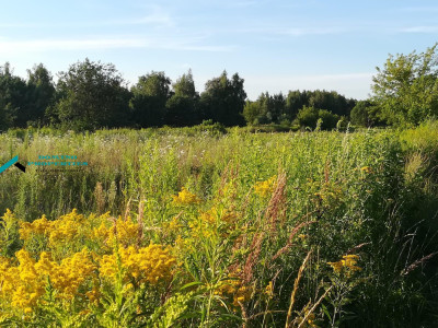 TANIO I W DOSKONAŁEJ LOKALIZACJI  - Borzęcin Duży   -
mazowieckie Zdjęcie nr 4