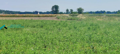 ŚWIETNA CENA W DOSKONAŁEJ LOKALIZACJI - Zaborówek -
mazowieckie Zdjęcie nr 3