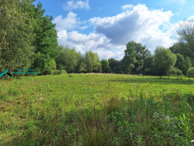 KAMERALNA DZIAŁKA W OTULINIE PUSZCZY KAMPINOSKIEJ - Wyględy - mazowieckie
