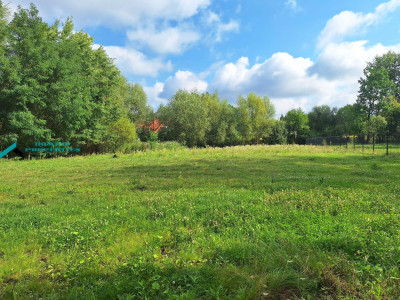 KAMERALNA DZIAŁKA W OTULINIE PUSZCZY KAMPINOSKIEJ - Wyględy -
mazowieckie Zdjęcie nr 4