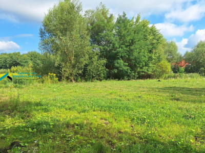 KAMERALNA DZIAŁKA W OTULINIE PUSZCZY KAMPINOSKIEJ - Wyględy -
mazowieckie Zdjęcie nr 5