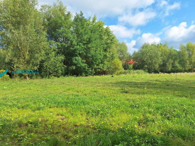 KAMERALNA DZIAŁKA W OTULINIE PUSZCZY KAMPINOSKIEJ - Wyględy -
mazowieckie Zdjęcie nr 6