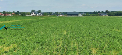 TANIA DZIAŁKA W ATRAKCYJNEJ CENIE PRZY PUSZCZY KAMPINOSKIEJ - Zaborówek   - mazowieckie