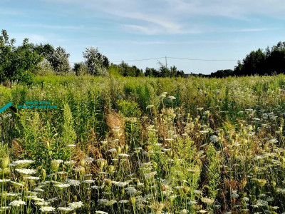 DZIAŁKA ROLNO-BUDOWLANA W DOSKONAŁEJ LOKALIZACJI - Borzęcin Duży   -
mazowieckie Zdjęcie nr 2