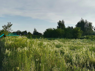 DZIAŁKA ROLNO-BUDOWLANA W DOSKONAŁEJ LOKALIZACJI - Borzęcin Duży   -
mazowieckie Zdjęcie nr 4