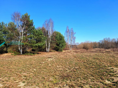 DZIAŁKA SIEDLISKOWA W ATRAKCYNEJ LOKALIZACJI - Borzęcin Duży   -
mazowieckie Zdjęcie nr 2