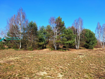 DZIAŁKA SIEDLISKOWA W ATRAKCYNEJ LOKALIZACJI - Borzęcin Duży   -
mazowieckie Zdjęcie nr 3