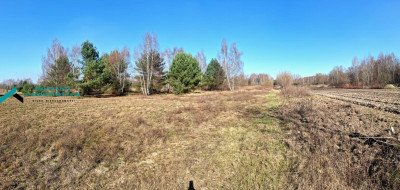DZIAŁKA SIEDLISKOWA W ATRAKCYNEJ LOKALIZACJI - Borzęcin Duży   -
mazowieckie Zdjęcie nr 4