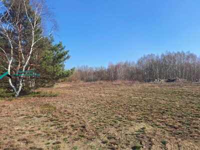 DZIAŁKA SIEDLISKOWA W ATRAKCYNEJ LOKALIZACJI - Borzęcin Duży   -
mazowieckie Zdjęcie nr 5