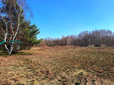 DZIAŁKA SIEDLISKOWA W ATRAKCYNEJ LOKALIZACJI - Borzęcin Duży   -
mazowieckie Zdjęcie nr 6