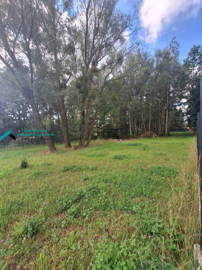 MALOWNICZA DZIAŁKA W WYGLĘDACH Z GOTOWYM PROJEKTEM DOMU - Wyględy -
mazowieckie Zdjęcie nr 5