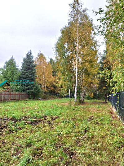 KAMERALNA DZIAŁKA BUDOWLANA UZBROJONA - Wyględy   -
mazowieckie Zdjęcie nr 6