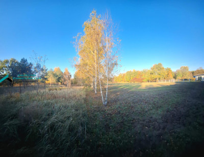 DOSKONAŁY TEREN INWESTYCYJNY  - Klaudyn   -
mazowieckie Zdjęcie nr 5