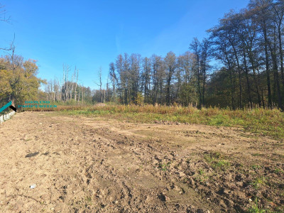 KAMERALNA DZIAŁKI NA SKRAJU PUSZCZY - Wólka   -
mazowieckie Zdjęcie nr 2