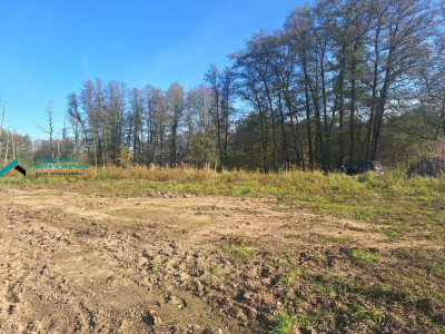 KAMERALNA DZIAŁKI NA SKRAJU PUSZCZY - Wólka   -
mazowieckie Zdjęcie nr 4