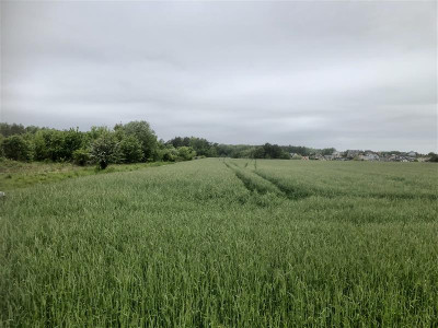 Działki pod budowę domów 18 wolnostojących Dębogór - Dębogórze  -
Pomorskie Zdjęcie nr 4