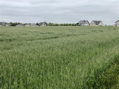 Działki pod zabudowę ekstensywną Gdańsk Dolne Mias - Gdańsk Dolne Miasto  - Pomorskie