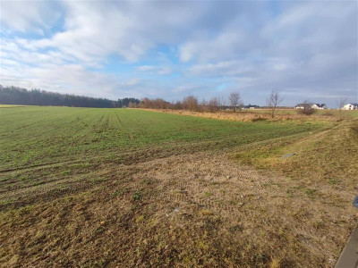 Działka pod budowę domów jednorodzinnych Dębogórze - Dębogórze  - Pomorskie