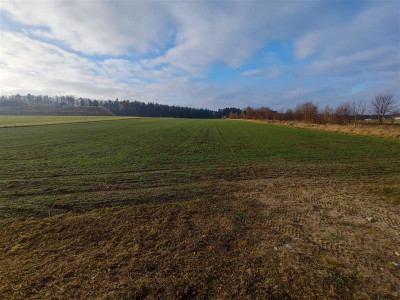 Działka pod budowę domów jednorodzinnych Dębogórze - Dębogórze  -
Pomorskie Zdjęcie nr 2