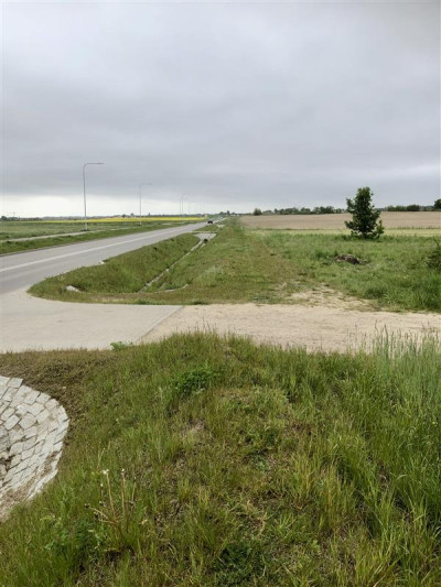 Działka pod budowę domów jednorodzinnych Dębogórze - Dębogórze  -
Pomorskie Zdjęcie nr 4