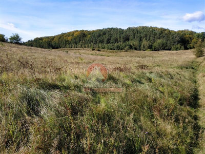 11 ha KLONOWO DOLNE -zabudowa mieszkaniowa - Klonowo Dolne  -
Pomorskie Zdjęcie nr 10