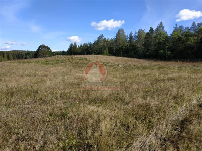 11 ha KLONOWO DOLNE -zabudowa mieszkaniowa - Klonowo Dolne  -
Pomorskie Zdjęcie nr 11