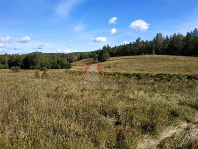 11 ha KLONOWO DOLNE -zabudowa mieszkaniowa - Klonowo Dolne  -
Pomorskie Zdjęcie nr 12