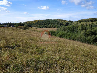 11 ha KLONOWO DOLNE -zabudowa mieszkaniowa - Klonowo Dolne  -
Pomorskie Zdjęcie nr 14