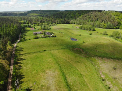 11 ha KLONOWO DOLNE -zabudowa mieszkaniowa - Klonowo Dolne  -
Pomorskie Zdjęcie nr 6