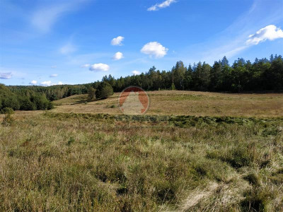 11 ha KLONOWO DOLNE -zabudowa mieszkaniowa - Klonowo Dolne  -
Pomorskie Zdjęcie nr 7