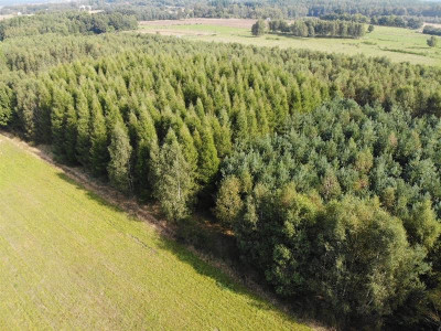 Grunt rolny Gmina Łęczyce - Wysokie  -
Pomorskie Zdjęcie nr 2