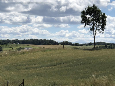 Kaszuby działka do sprzedaży Miechucino - Miechucino   -
Pomorskie Zdjęcie nr 6