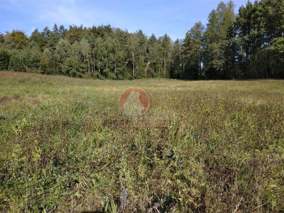 Okazja działka budowlana 1515 m cena 85 zł1m - Sucha Huta  -
Pomorskie Zdjęcie nr 3