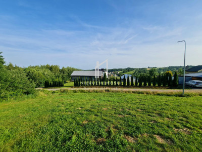 CENA W DÓŁ MALOWNICZA DZIAŁKA ROLNO-BUDOWLANA SZERZYNY 53AR - Szerzyny  -
małopolskie Zdjęcie nr 3