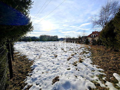 CENA W DÓŁ PRESTIŻOWO ZLOKALIZOWANA DZIAŁKA BUDOWLANA SKOŁYSZYN 305AR - Skołyszyn  -
podkarpackie Zdjęcie nr 12