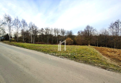 JESZCZE NIŻSZA CENA DZIAŁKA POD LASEM Z POTENCJAŁEM TRZCINICA GM JASŁO 47AR - Trzcinica  -
podkarpackie Zdjęcie nr 10