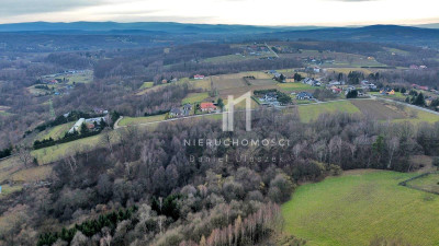 JESZCZE NIŻSZA CENA DZIAŁKA POD LASEM Z POTENCJAŁEM TRZCINICA GM JASŁO 47AR - Trzcinica  -
podkarpackie Zdjęcie nr 4