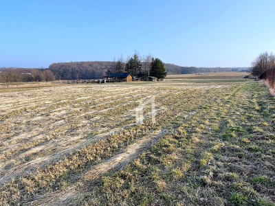 NOWA NIŻSZA CENA DZIAŁKI BUDOWLANE JASŁO UL MAŁA 125AR - Jasło  -
podkarpackie Zdjęcie nr 12