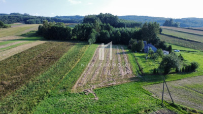 DZIAŁKA BUDOWLANA Z WZ KLECIE GM BRZOSTEK 31AR - Klecie  - podkarpackie