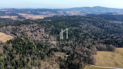 DUŻY LAS JODŁOWO-BUKOWY W SZERZYNACH 490HA - Szerzyny  -
małopolskie Zdjęcie nr 8
