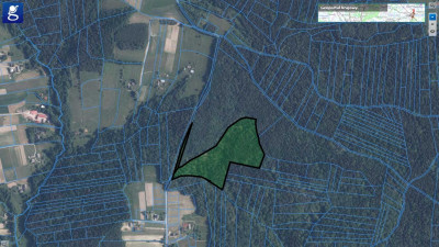 DUŻY LAS JODŁOWO-BUKOWY W SZERZYNACH 490HA - Szerzyny  -
małopolskie Zdjęcie nr 9