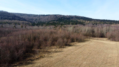 LAS OLCHOWY PIELGRZYMKA GM OSIEK JASIELSKI 165HA - Pielgrzymka  -
podkarpackie Zdjęcie nr 11