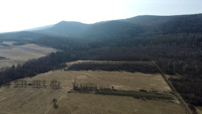 LAS OLCHOWY PIELGRZYMKA GM OSIEK JASIELSKI 165HA - Pielgrzymka  -
podkarpackie Zdjęcie nr 2