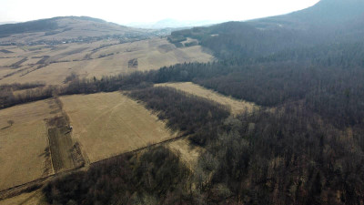 LAS OLCHOWY PIELGRZYMKA GM OSIEK JASIELSKI 165HA - Pielgrzymka  -
podkarpackie Zdjęcie nr 3