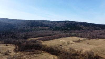 LAS OLCHOWY PIELGRZYMKA GM OSIEK JASIELSKI 165HA - Pielgrzymka  -
podkarpackie Zdjęcie nr 4