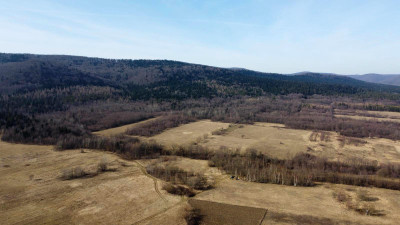 LAS OLCHOWY PIELGRZYMKA GM OSIEK JASIELSKI 165HA - Pielgrzymka  -
podkarpackie Zdjęcie nr 5