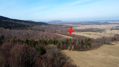 LAS OLCHOWY PIELGRZYMKA GM OSIEK JASIELSKI 165HA - Pielgrzymka  -
podkarpackie Zdjęcie nr 8